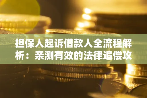 武汉担保人起诉借款人全流程解析：亲测有效的法律追偿攻略