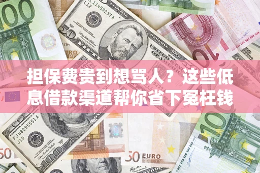 武汉担保费贵到想骂人？这些低息借款渠道帮你省下冤枉钱
