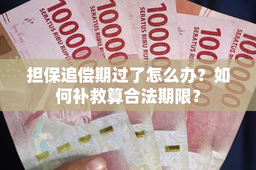 武汉担保追偿期过了怎么办？如何补救算合法期限？