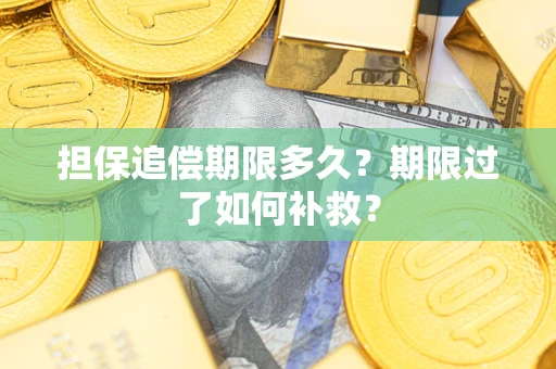 武汉担保追偿期限多久？期限过了如何补救？