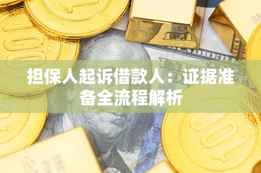 武汉担保人起诉借款人：证据准备全流程解析