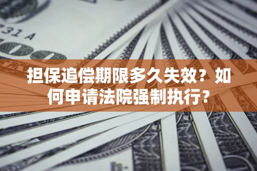 武汉担保追偿期限多久失效？如何申请法院强制执行？