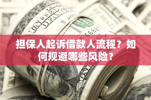 武汉担保人起诉借款人流程？如何规避哪些风险？