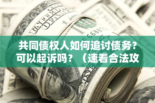 武汉共同债权人如何追讨债务？可以起诉吗？（速看合法攻略）
