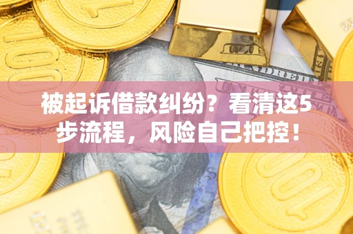 武汉被起诉借款纠纷？看清这5步流程，风险自己把控！
